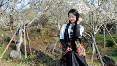 若者たちは、まるで映画から抜け出たような真っ白な花を咲かせた古い梅の木の姿が印象的なサンワールド・ファンシーパン・レジェンドに興奮気味にチェックインしている。
