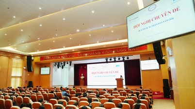 يقوم بنك الدولة الفيتنامي، المنطقة 1، بتنفيذ مجموعة شاملة من المهام لتوحيد وتصحيح نظام صناديق الائتمان الشعبي.