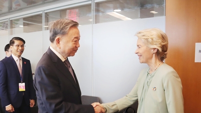 Cooperación Vietnam-Europa: alcanzando nuevas alturas