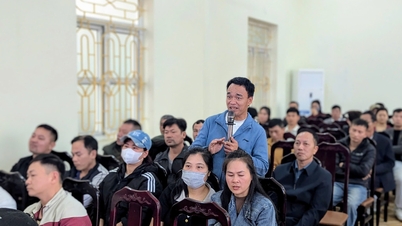 Household businesses in An Phong are interested in converting to a corporate business model.