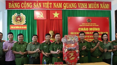 De provincie Lam Dong voert veiligheids- en ordecontroles uit in aanloop naar het Tet-feest.