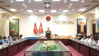 Lam Dong province is strictly controlling fishing vessels to prevent violations of foreign waters.