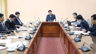 Meninjau dan mempromosikan pelaksanaan tugas-tugas di bidang Kependudukan, Keamanan Pangan, dan Infrastruktur serta Peralatan Medis.