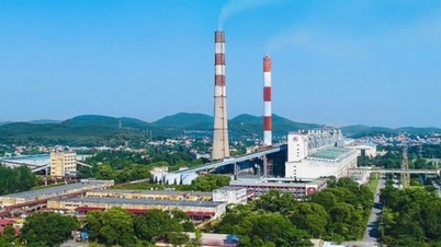 Lợi nhuận Nhiệt điện Phả Lại trong quý IV/2025 giảm mạnh khi hụt cổ tức được chia