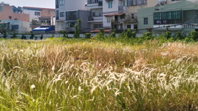 148 plots of land in Ho Chi Minh City could be used for social housing and resettlement.