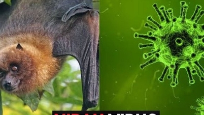 Sağlık Bakanlığı, sağlık kuruluşlarına Nipah virüsünün neden olduğu hastalıkları önlemek ve kontrol altına almak için proaktif önlemler almaları konusunda acil uyarıda bulundu.