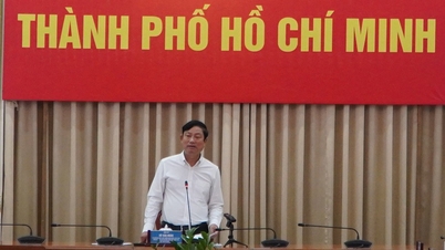호찌민시 인민의회 선거: 신청 마감일: 2026년 2월 1일 오후 5시