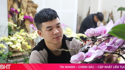 អ្នករៀបចំផ្កាអ័រគីដេមមមាញឹកក្នុងអំឡុងបុណ្យតេត (បុណ្យចូលឆ្នាំចិន) ដោយរកចំណូលបានរាប់លានដុងជារៀងរាល់ថ្ងៃ។