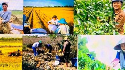 У 2026 році сектор сільського господарства та охорони навколишнього середовища прагне досягти темпів зростання на рівні 3,7%.