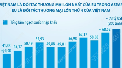 Partenariato strategico tra Vietnam e Unione Europea