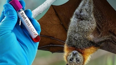 Ministerstvo zdravotnictví naléhavě žádá o přísnější opatření k zabránění šíření viru Nipah.