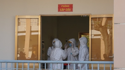 Ho Chi Minh City intensifies efforts to prevent and control the risk of Nipah virus entry.