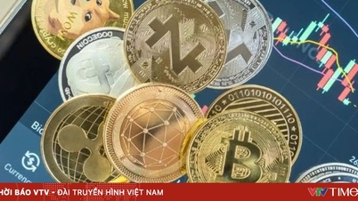 New York har blivit ett viktigt nav för kryptovalutainvesteringar.