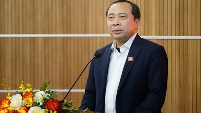 Presentamos al Viceministro de Ciencia y Tecnología, Vu Hai Quan, como candidato a la Asamblea Nacional.