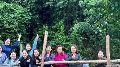កោសិកាបក្សពិសេសនៅលើជួរភ្នំទ្រឿងសឺន - ផ្នែកទី 1: កម្លាំងនៃកោសិកាបក្សនៅក្នុងព្រៃធំ