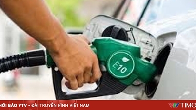 وزارت صنعت و تجارت: با تغییر به سوخت بیواتانول E10، کمبود عرضه وجود نخواهد داشت.