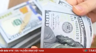 Dolar amerykański nadal traci na wartości.