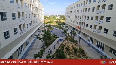 Ho-Chi-Minh-Stadt: Der Bau von Sozialwohnungen innerhalb von Gewerbeprojekten entspricht den Realitäten der Stadtentwicklung.