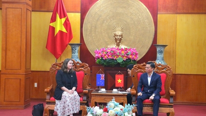 İl yöneticileri, Vietnam'daki Yeni Zelanda Büyükelçiliği ve World Vision International heyetini kabul ederek bir çalışma toplantısı gerçekleştirdi.