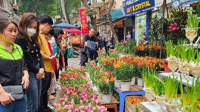 A Hanoi Virág- és Dísznövényfesztiválra a Csillagászati ​​Parkban kerül sor.
