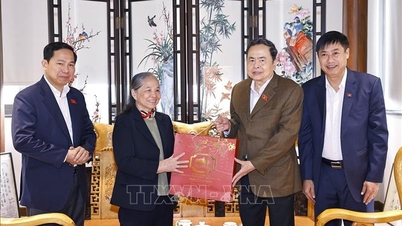 National Assembly Chairman Tran Thanh Man expresses gratitude to former leaders of the Party and State.