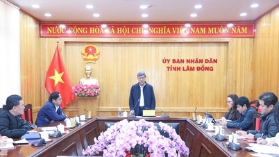 សន្និសីទ​ដើម្បី​ប្រកាស​ពី​ផែនការ​តំបន់​ទេសចរណ៍​ជាតិ Mui Ne ត្រូវ​បាន​គេ​រំពឹង​ថា​នឹង​ធ្វើ​ឡើង​នៅ​ក្នុង​ខែ​មីនា ឆ្នាំ 2026។