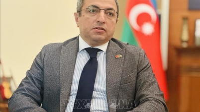 Azerbajdzsán nagykövete: A választás hozzájárul Vietnam fejlődésének szilárd alapjainak lerakásához.