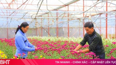ពណ៌និទាឃរដូវដ៏រស់រវើកតុបតែងសួនផ្កានៅហាទិញ។