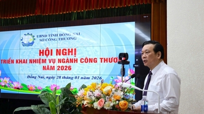 2026년 동나이성 산업무역 부문의 성장을 도울 수 있는 해결책은 무엇일까요?
