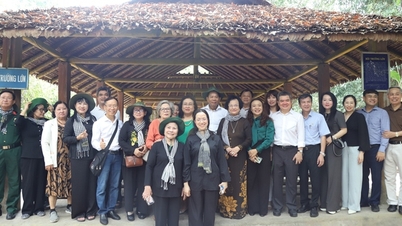 ສະໂມສອນການແພດແບບດັ້ງເດີມຂອງພາກໃຕ້ຍັງສືບຕໍ່ມີບົດບາດໃນການເຊື່ອມຕໍ່ຜູ້ຊ່ຽວຊານດ້ານການແພດລຸ້ນຕ່າງໆ.