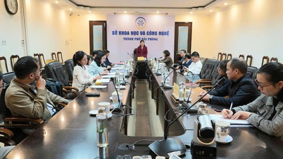 Kutatás a zöld energiára való átállás jelenlegi helyzetéről és a javasolt megoldásokról Hai Phong város vállalkozásaiban.