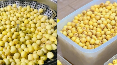 Zdravé ořechy k jídlu během Tetu (vietnamského Nového roku)