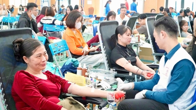 Bảo đảm “ngân hàng máu” dịp Tết: Thêm giọt máu, trao sự sống