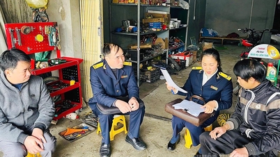 ຄຳແນະນຳສຳລັບທຸລະກິດຄົວເຮືອນກ່ຽວກັບການປະຕິບັດພັນທະພາສີຂອງເຂົາເຈົ້າ.