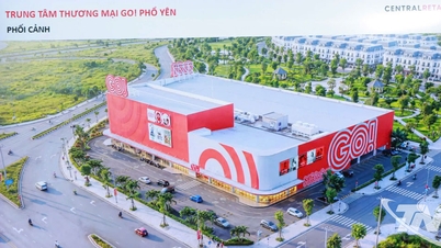 Đề xuất Dự án xây dựng Trung tâm thương mại Go Phổ Yên trên 410 tỷ đồng
