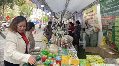 Programmet "Spring in Hai Phong" visar upp OCOP-produkter från 11 orter.
