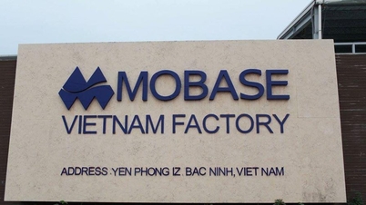 La provincia di Bac Ninh ha concesso permessi di importazione per sostanze chimiche soggette a controllo speciale alla Mobase Vietnam Co., Ltd.