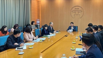 Styrets representantkomité i Social Policy Bank i Ho Chi Minh-byen holdt sitt første ordinære møte i 2026.