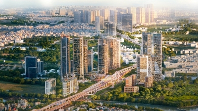 Ciudad Ho Chi Minh construye una carretera elevada de 60 metros que conecta el sur: una vista de cerca de la arquitectura que se asemeja a las raíces de los manglares.