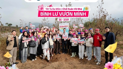 Binh Lu in Springtime Welcomes the Sunshine – A Destination for Experiential Tourism in the Lai Chau Highlands