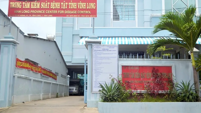 Les provinces de Vinh Long et d'An Giang renforcent les mesures de surveillance et de prévention contre l'épidémie du virus Nipah.