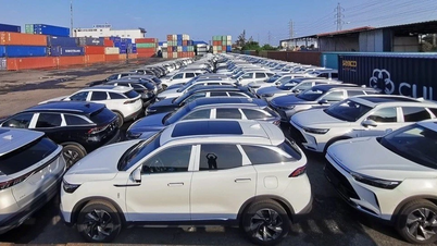 Vietnam zal naar verwachting in 2025 4,74 miljard dollar uitgeven aan de import van auto's, een stijging van meer dan 31%.