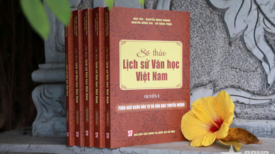 Класична збірка книг з історії в'єтнамської літератури.