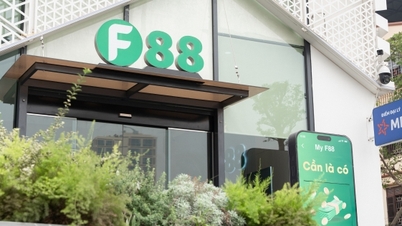 F88 behaalt een winstdoorbraak en overtreft de jaarlijkse doelstelling.