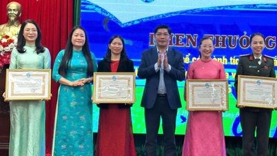 ควรให้ความสำคัญกับประสิทธิผล ความเป็นไปได้ และความยั่งยืนในขบวนการสตรี