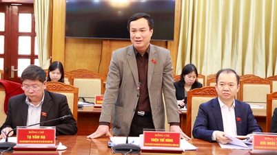 Ulusal Meclis Kültür ve Sosyal İşler Komitesi'nden bir heyet, Bac Ninh'de inanç ve din ile ilgili politikaların ve yasaların uygulanmasına ilişkin bir araştırma yaptı.