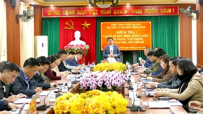 Volební komise pro zástupce Lidové rady č. 8 zkontrolovala volební proces v obcích Xuan Giang, Bang Lang, Quang Binh, Yen Thanh, Tien Nguyen a Tan Trinh.