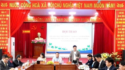 Binh Minh, 2026-2030 döneminde çift haneli büyüme hedefleyerek kalkınma sütunları oluşturuyor.