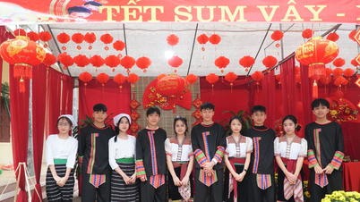 Studenti v provincii Nghe An budou mít desetidenní prázdniny na lunární Nový rok (Rok koně).