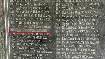 Üniversite bölüm başkanı sahte diploma kullandığı gerekçesiyle görevden uzaklaştırıldı ve doktora derecesi plaketinden adı silindi.